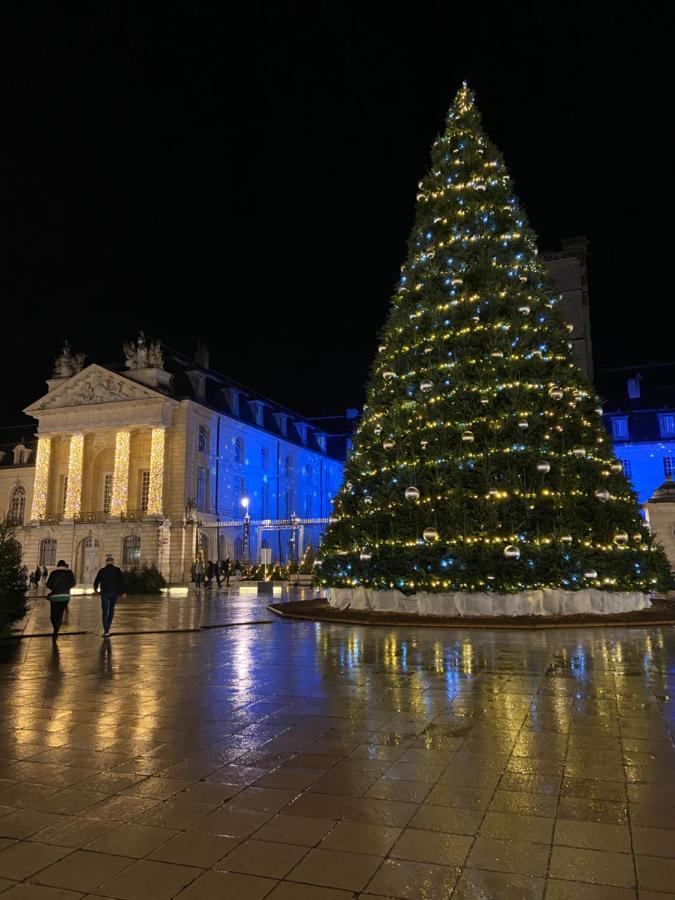 Benigne Malyon Lägenhet Dijon Exteriör bild